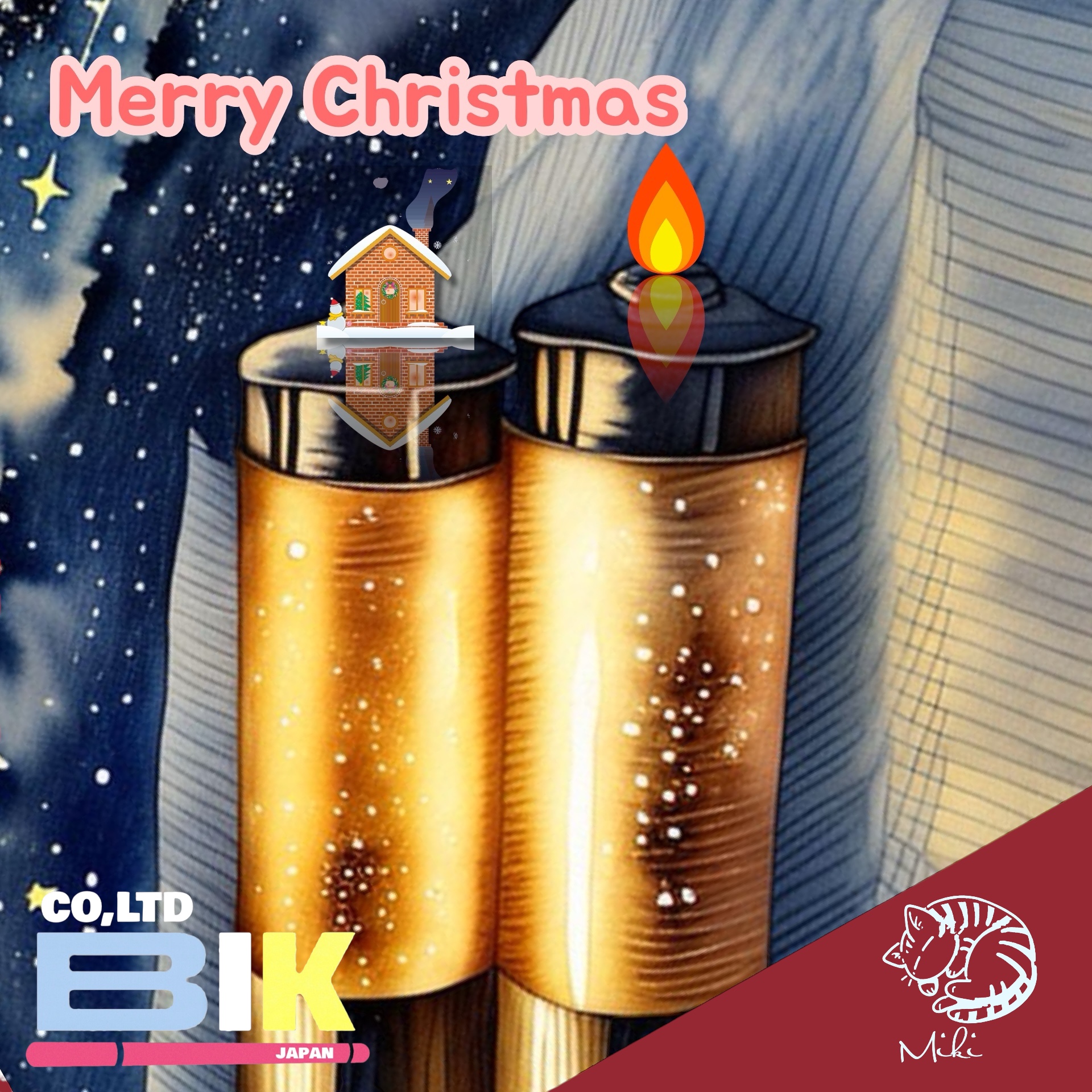 BIK JAPAN�������